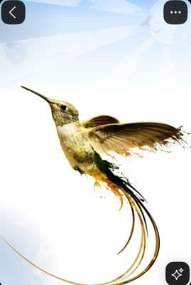 a picture of a hummingbird flying through the air