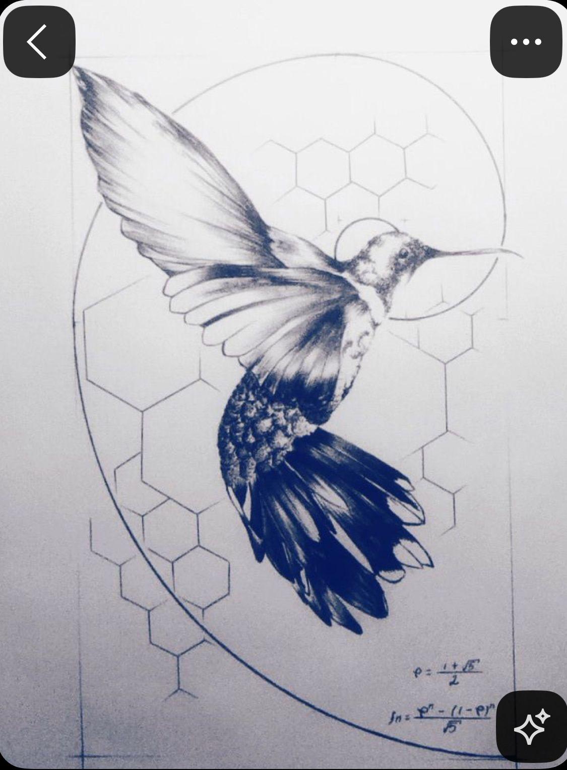 a drawing of a hummingbird in flight