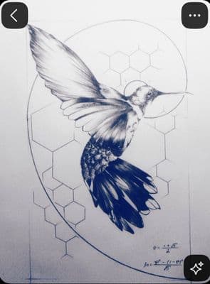 a drawing of a hummingbird in flight