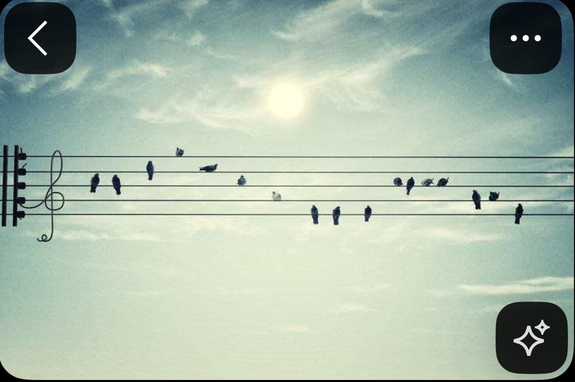 a flock of birds sitting on top of power lines