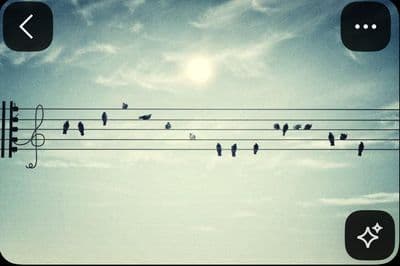 a flock of birds sitting on top of power lines
