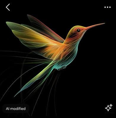 a colorful bird flying through the air on a black background