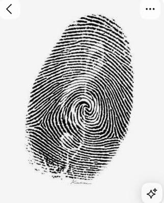 a fingerprint is shown on a white background