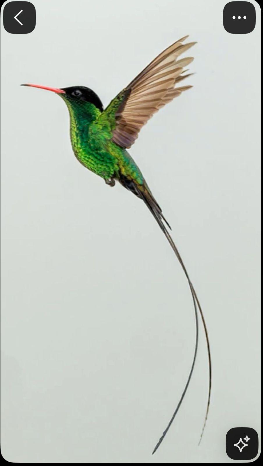a green hummingbird flying through the air