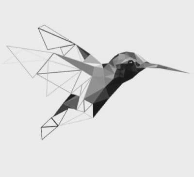 a bird that is flying through the air