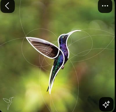 a bird flying through the air with a blurry background