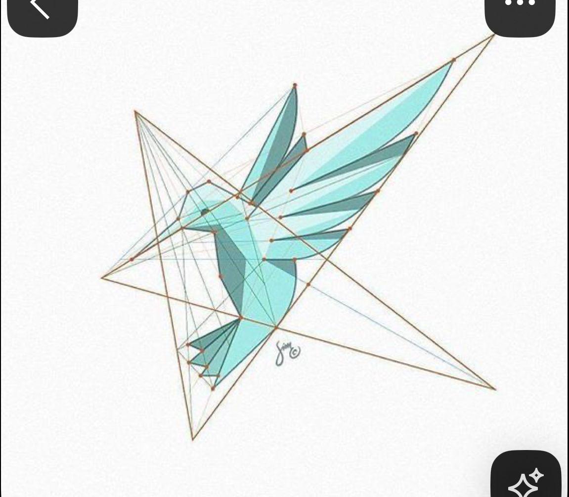 a picture of a bird on a white background
