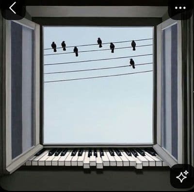 a window with birds sitting on a wire
