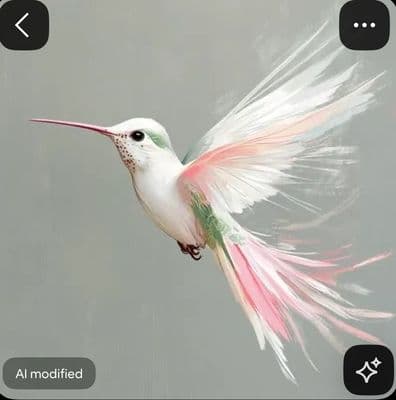 a white and pink bird flying through the air