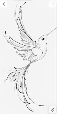 a drawing of a hummingbird flying in the air