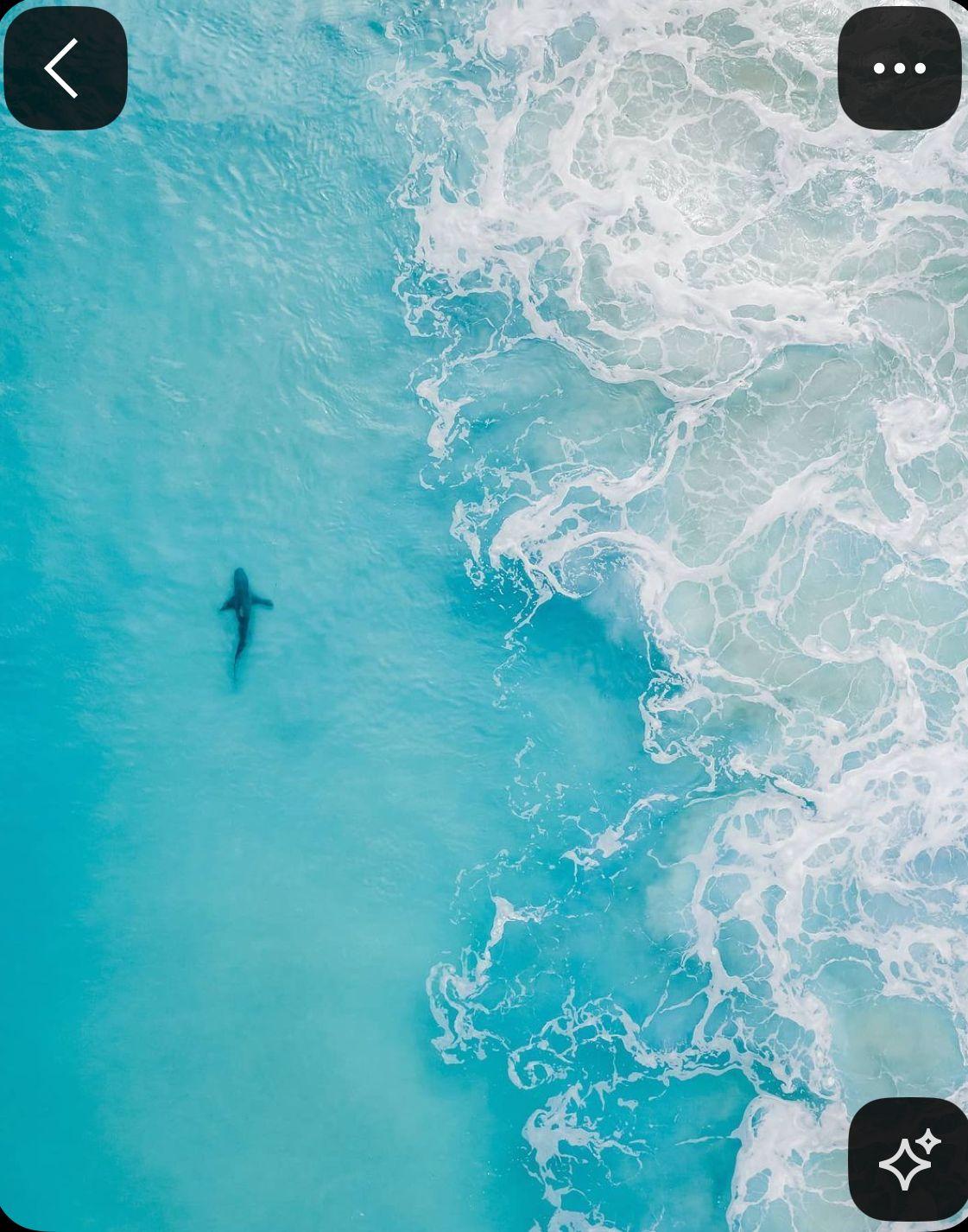 a person riding a surfboard on a body of water
