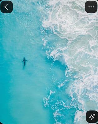 a person riding a surfboard on a body of water