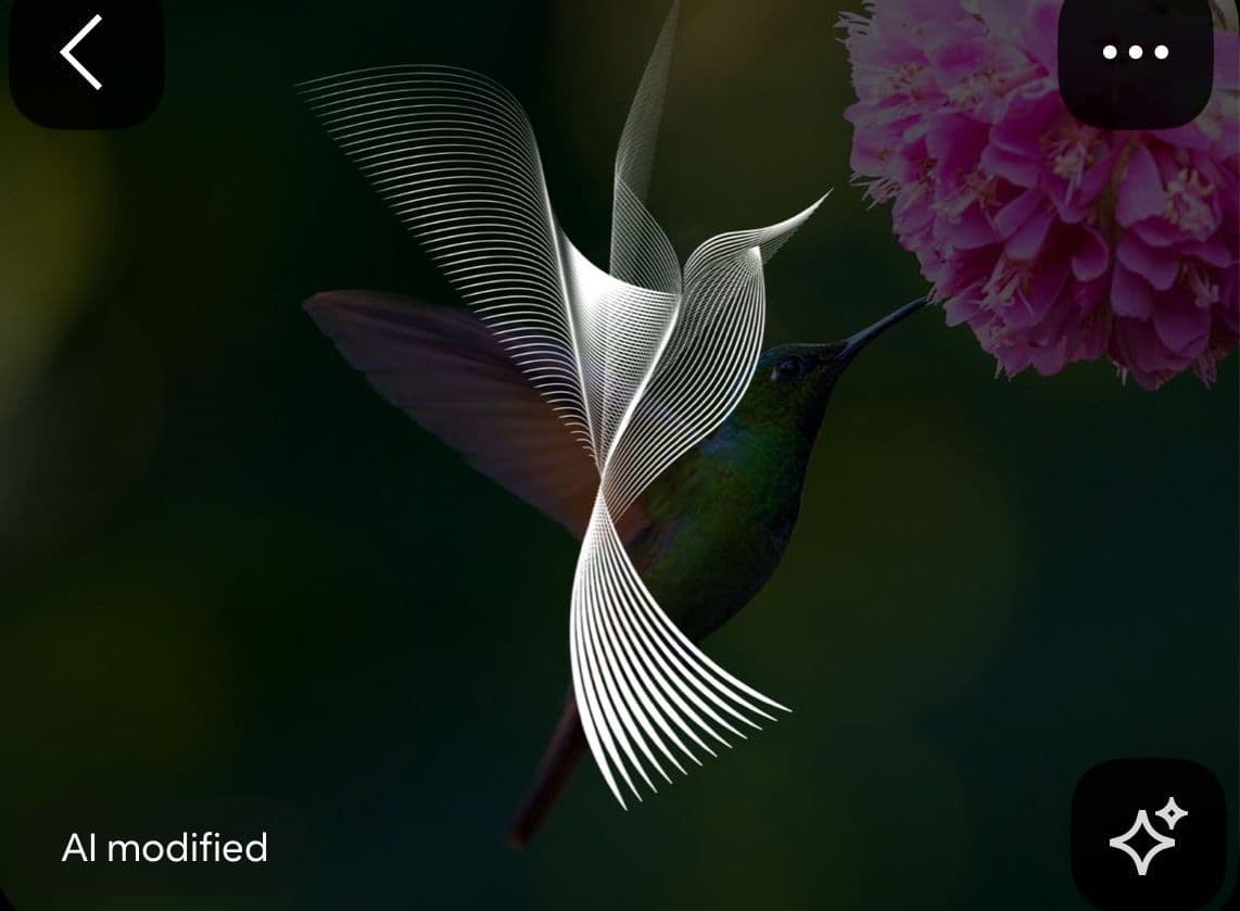 a hummingbird flying next to a pink flower