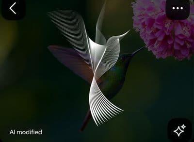 a hummingbird flying next to a pink flower