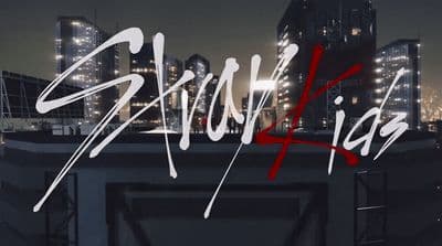 a picture of a city at night with the words slinkling