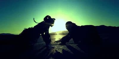 a couple of people with a dog on a beach
