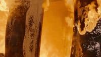 a close up of two hot dogs in a pan