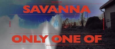 a movie poster for the movie savannah