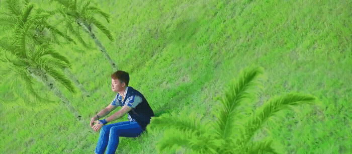 a man sitting on top of a lush green hillside