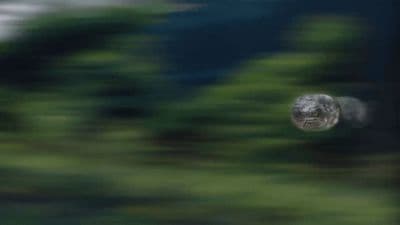 a blurry photo of a bird flying through the air