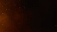 a group of birds flying in the night sky
