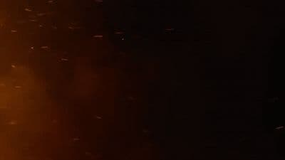 a group of birds flying in the night sky