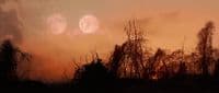 a full moon is seen in the sky above trees