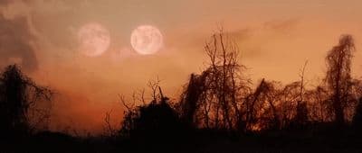 a full moon is seen in the sky above trees