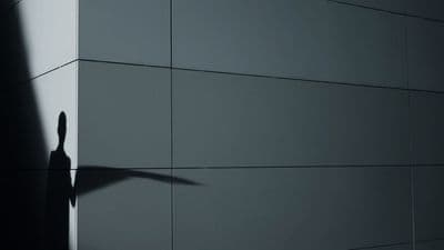 a shadow of a bird on a wall