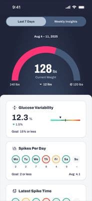 a screen shot of the dashboard of a car