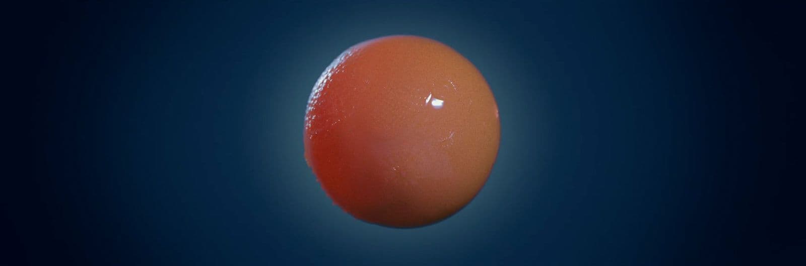 a close up of an egg on a blue background