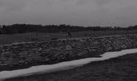 a person is flying a kite in a field