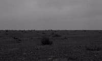 a black and white photo of a field