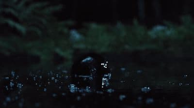 a black object floating on top of a body of water