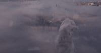a statue in the middle of a foggy city