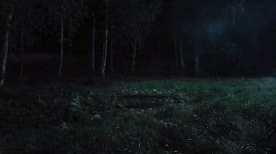 a person standing in a dark forest at night