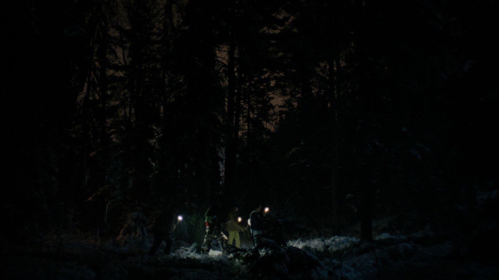 a group of people standing in the woods at night