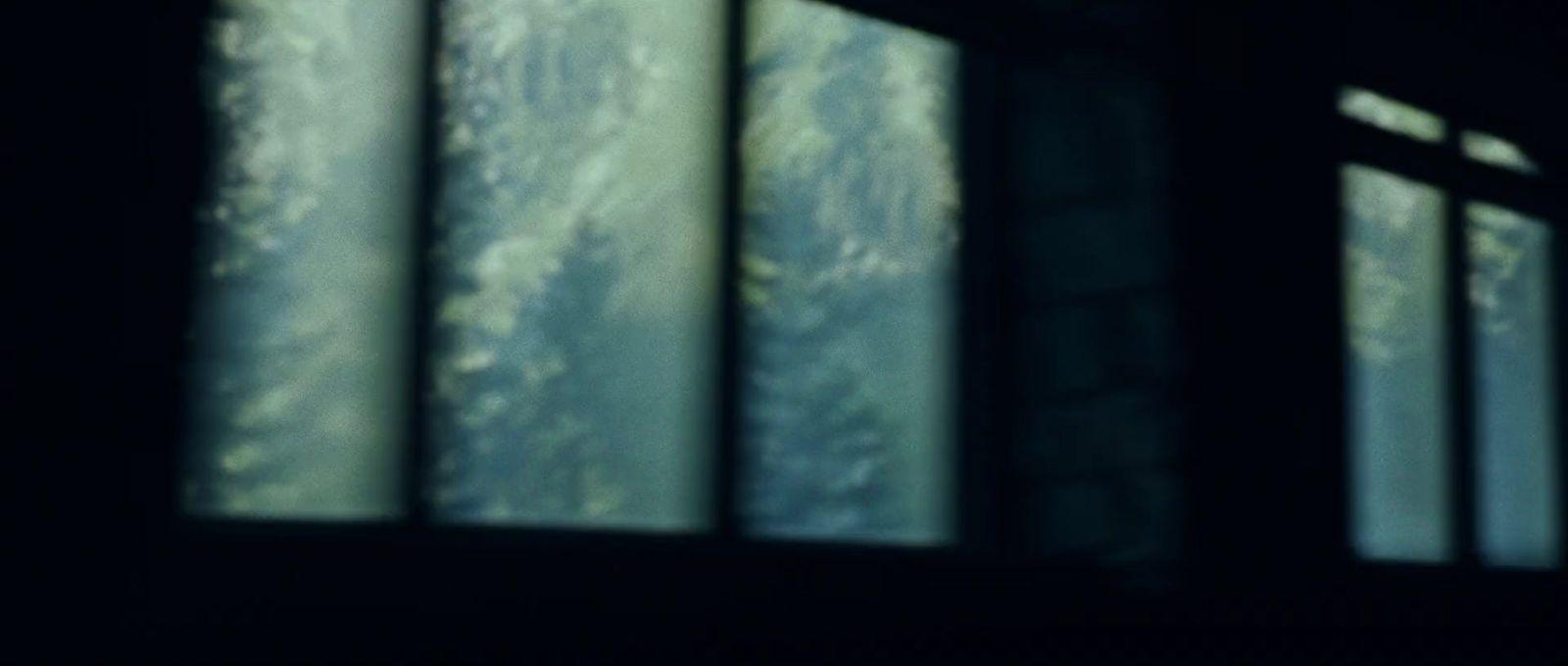 a window with a view of a forest outside