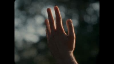 a person's hand reaching up into the air