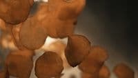 a close up of a bunch of fried food