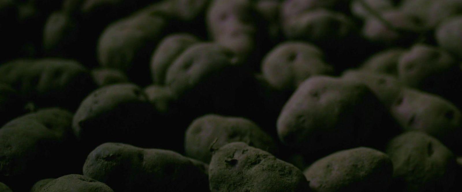 a bunch of doughnuts that are green in color