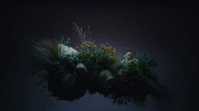 a bunch of plants that are in the dark