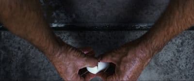 a person holding an egg in their hands