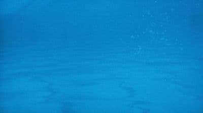 a person is swimming in the blue water