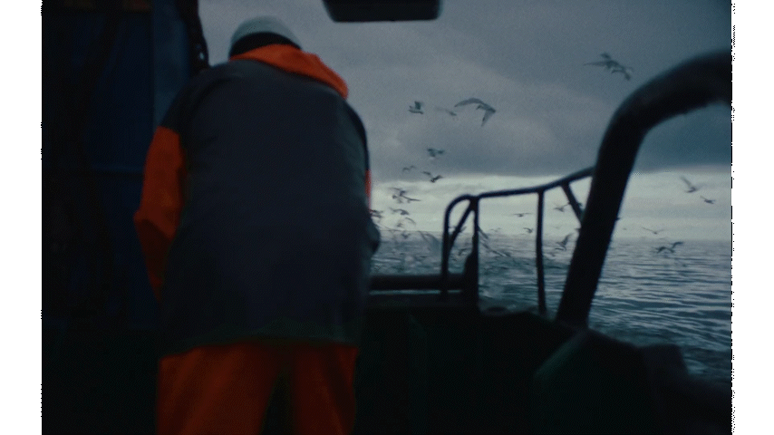 a man standing on a boat looking out at a flock of birds
