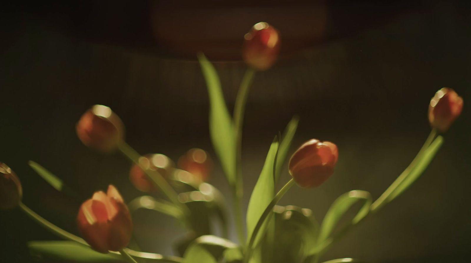 a vase filled with red flowers on top of a table