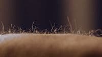 a close up of a bed with grass on top of it