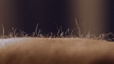 a close up of a bed with grass on top of it
