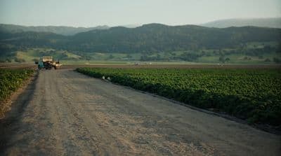 a tractor driving down a dirt road next to a lush green field