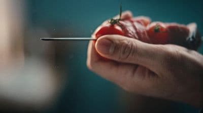 a person holding a tiny piece of food in their hand